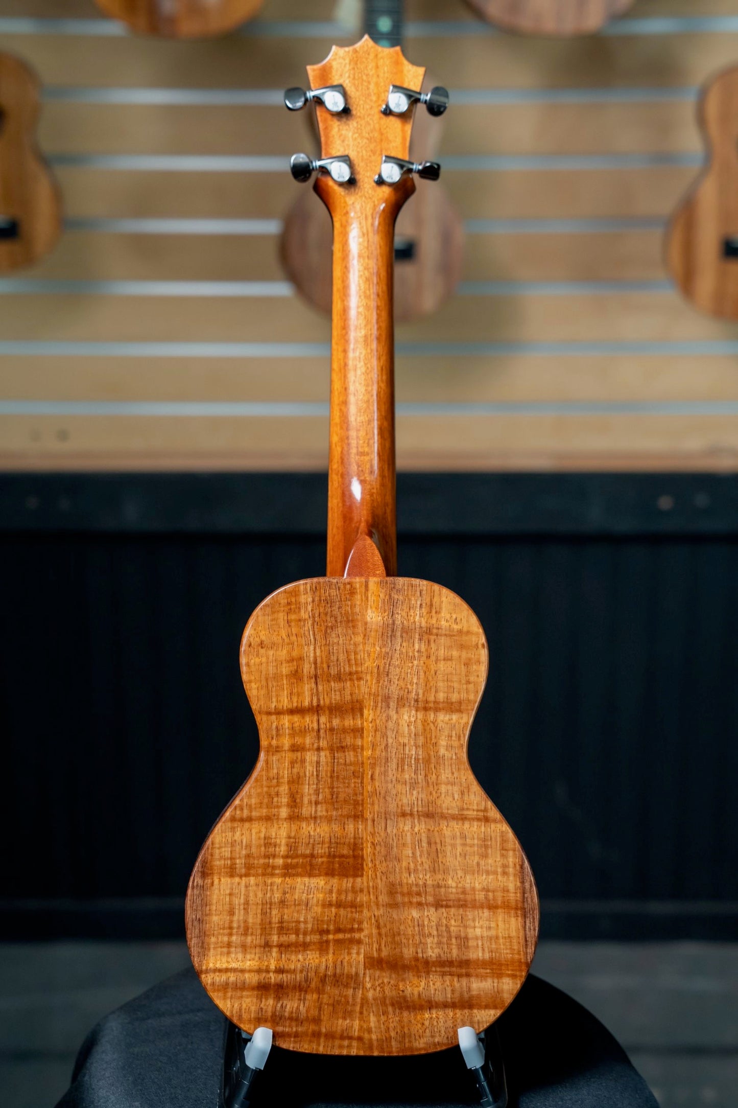 KCM-00NM1 Concert Birds of Paradise