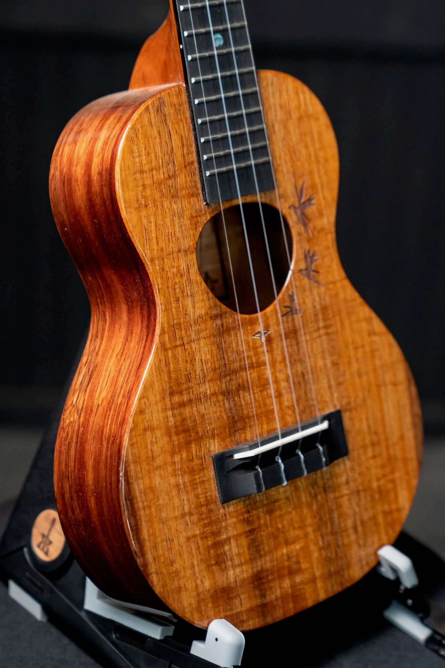 KCM-00NM1 Concert Birds of Paradise